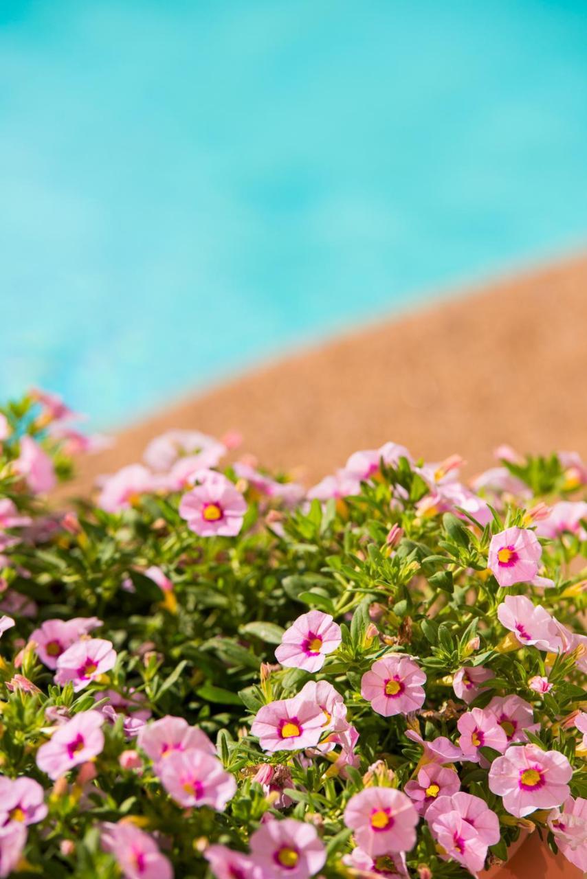 Neikos Mediterraneo Luxury Suites Ханиоти Екстериор снимка